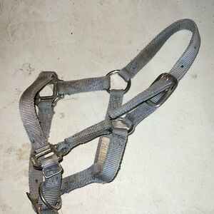 miniature halter